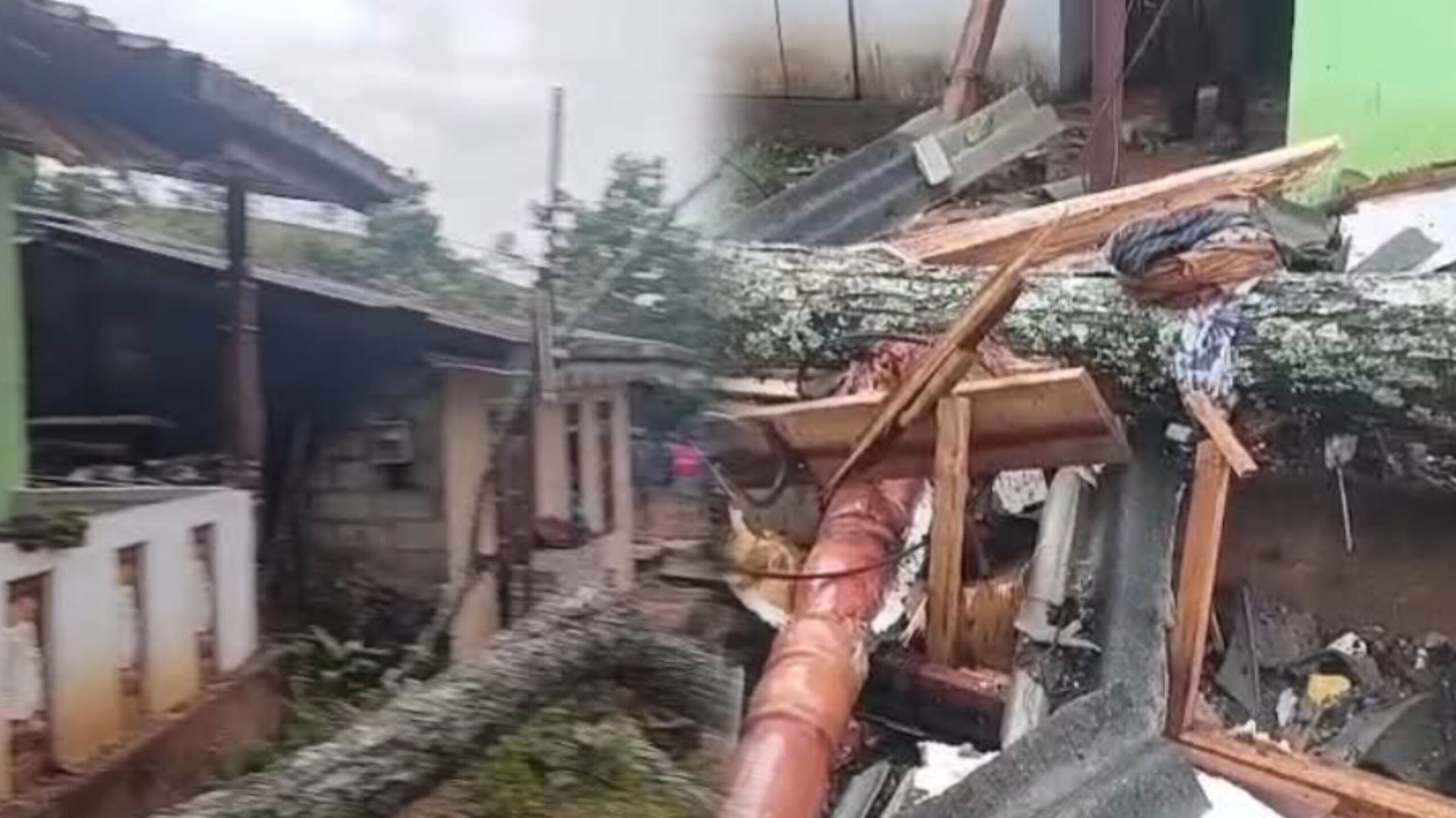 புளியாவத்தையில் சீற்றமடைந்த வானிலை: குடியிருப்புகள் மீது மரம் முறிந்து விழுந்து விபத்து!